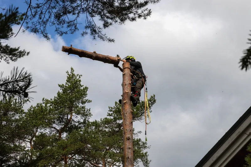 Latvuksen hoito turvavaljaat
